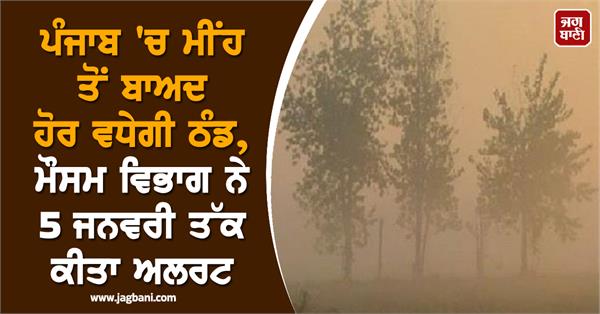 punjab to experience more severe cold