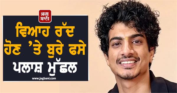 badly stuck plush mustache when marriage is canceled