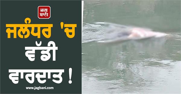 major incident in jalandhar man brutally murdered