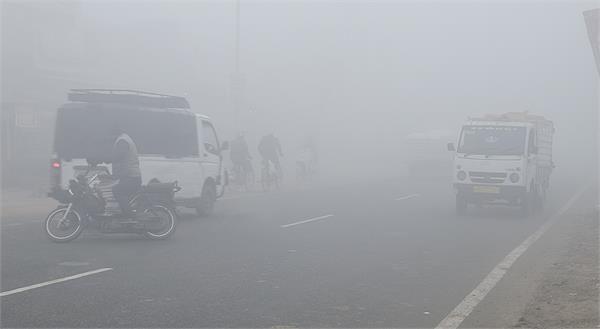 carelessness can be a major factor in dense fog
