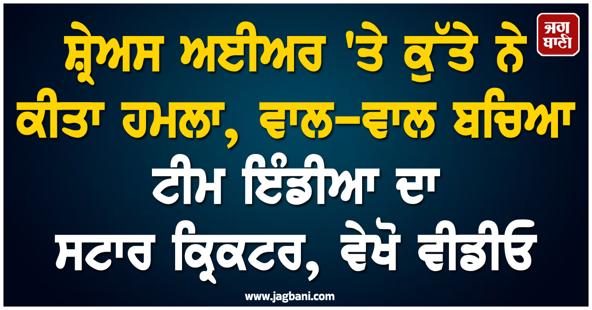 ਸ਼੍ਰੇਅਸ ਅਈਅਰ ''ਤੇ ਕੁੱਤੇ ਨੇ ਕੀਤਾ ਹਮਲਾ, ਵਾਲ-ਵਾਲ ਬਚਿਆ ਟੀਮ ਇੰਡੀਆ ਦਾ ਸਟਾਰ ਕ੍ਰਿਕਟਰ, ਵੇਖੋ ਵੀਡੀਓ