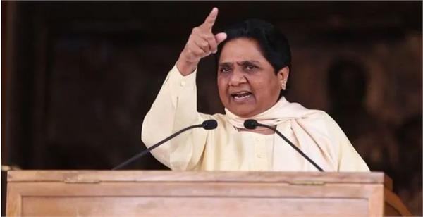 bsp will contest all elections in the country alone