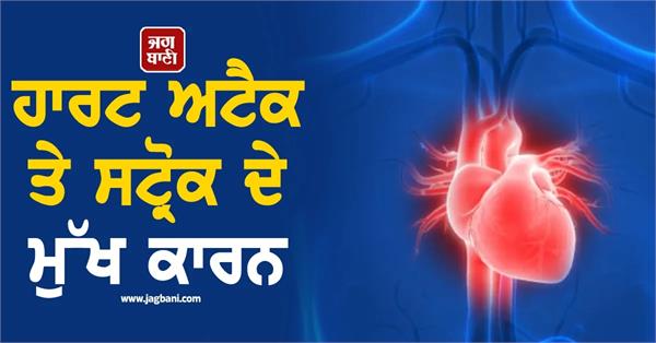 heart attacks and strokes are caused by these 4 factors