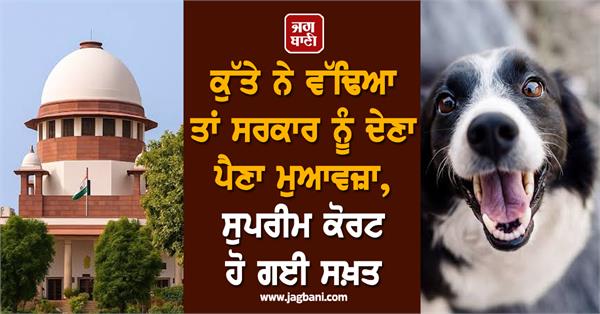 dog bite government compensation