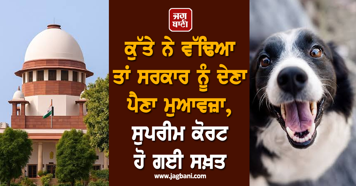 ਕੁੱਤੇ ਨੇ ਵੱਢਿਆ ਤਾਂ ਸਰਕਾਰ ਨੂੰ ਦੇਣਾ ਪੈਣਾ ਮੁਆਵਜ਼ਾ, ਸੁਪਰੀਮ ਕੋਰਟ ਹੋ ਗਈ ਸਖ਼ਤ