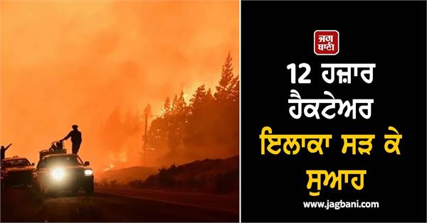 wildfires in argentina have engulfed an area of   12 000 hectares