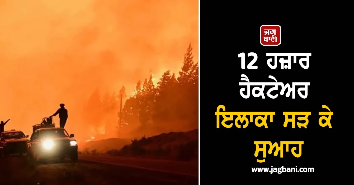 12 ਹਜ਼ਾਰ ਹੈਕਟੇਅਰ ਇਲਾਕਾ ਸੜ ਕੇ ਸੁਆਹ, ਅਰਜਨਟੀਨਾ ਦੇ ਜੰਗਲਾਂ ''ਚ ਭਿਆਨਕ ਅੱਗ ਦਾ ਤਾਂਡਵ