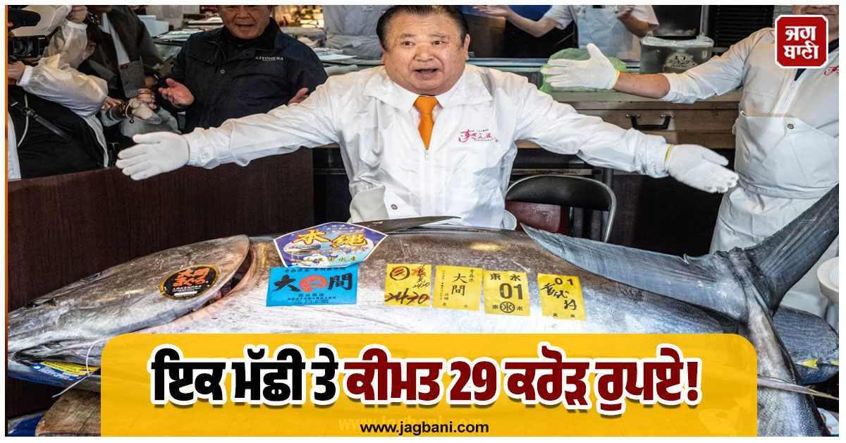 ਮੱਛੀ ਹੈ ਜਾਂ ਚਲਦਾ-ਫਿਰਦਾ ਖ਼ਜ਼ਾਨਾ, ਇੱਕ 'ਟੂਨਾ' ਦਾ 29 ਕਰੋੜ ਰੁਪਏ 'ਚ ਹੋਇਆ ਸੌਦਾ