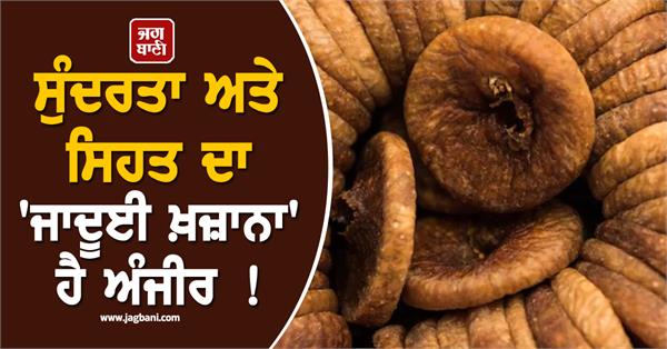 figs are a   magical treasure   of beauty and health