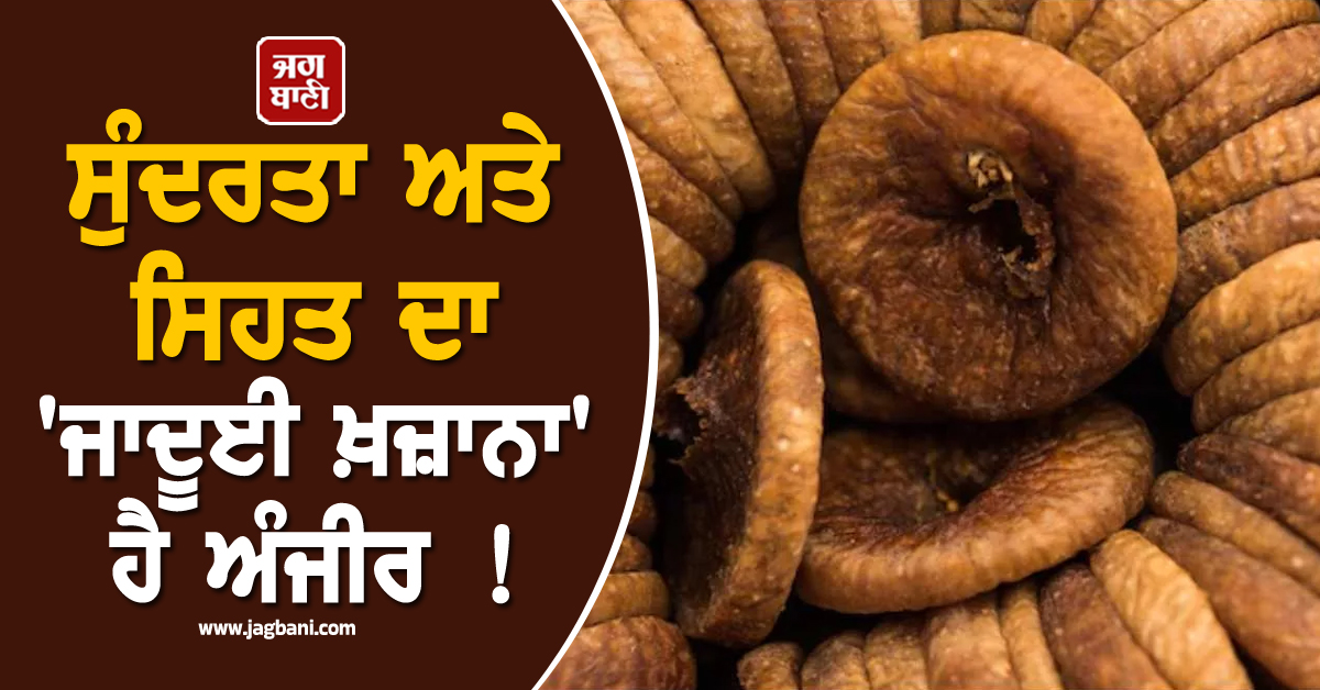 ਸੁੰਦਰਤਾ ਅਤੇ ਸਿਹਤ ਦਾ ''ਜਾਦੂਈ ਖ਼ਜ਼ਾਨਾ'' ਹੈ ਅੰਜੀਰ ! ਜਾਣੋ ਡਾਈਟ ''ਚ ਸ਼ਾਮਲ ਕਰਨ ਦੇ 6 ਤਰੀਕੇ