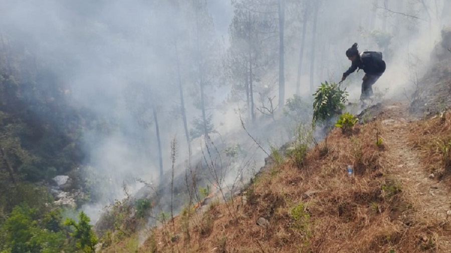 ਜੰਮੂ-ਕਸ਼ਮੀਰ ਦੇ ਪੁੰਛ ''ਚ ਜੰਗਲ ਨੂੰ ਲੱਗੀ ਭਿਆਨਕ ਅੱਗ, LoC ਨੇੜੇ ਬਾਰੂਦੀ ਸੁਰੰਗਾਂ ਬਲਾਸਟ