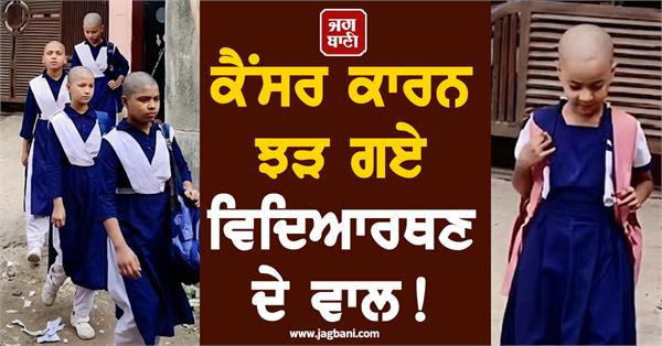 school  student  cancer  hair