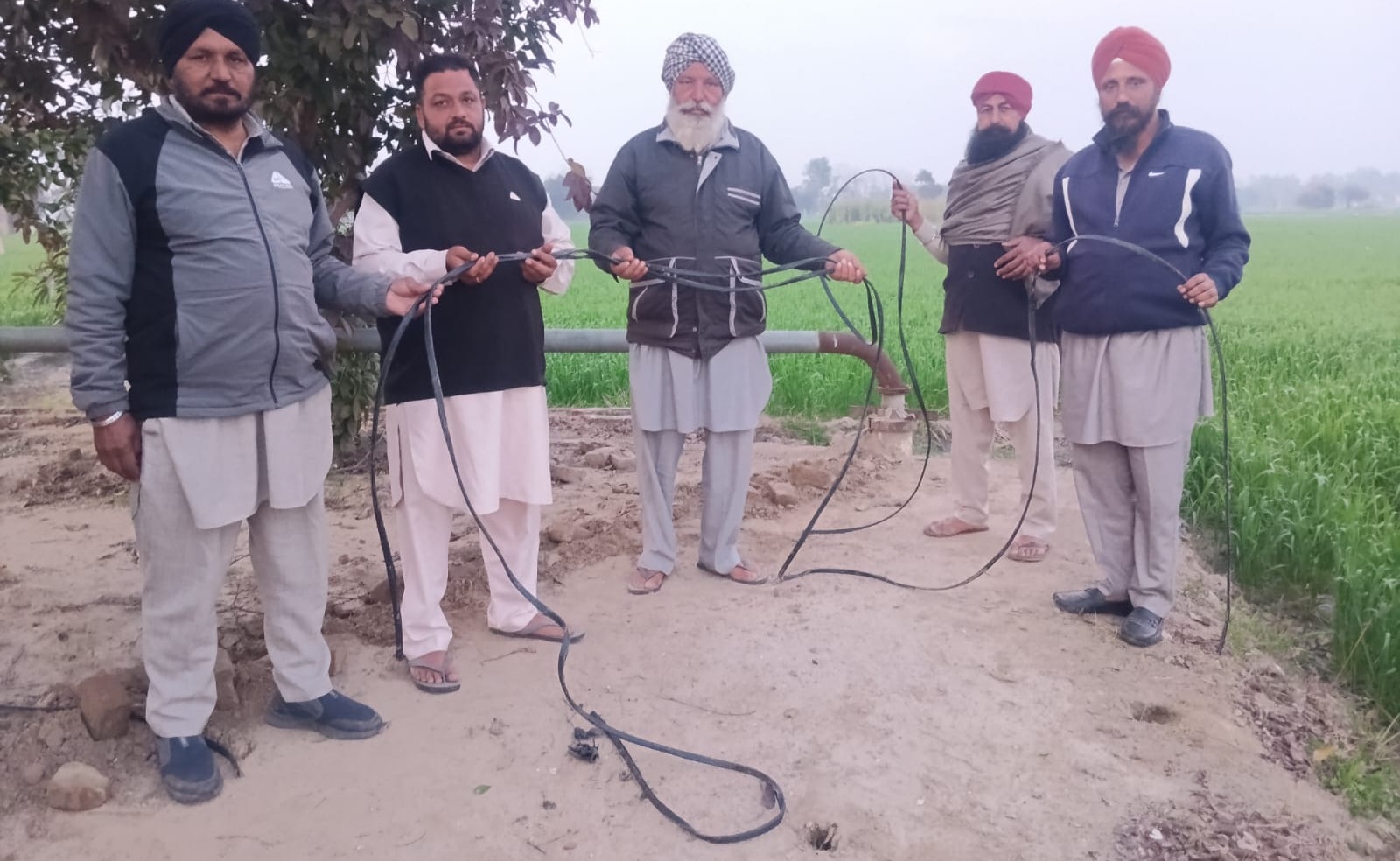 ਪਿੰਡ ਹਮੀਦੀ ’ਚ ਚੋਰ ਗਿਰੋਹ ਦਾ ਕਹਿਰ, 11 ਕਿਸਾਨਾਂ ਦੀਆਂ ਮੋਟਰਾਂ ਤੋਂ ਸੈਂਕੜੇ ਫੁੱਟ ਕੇਬਲ ਚੋਰੀ