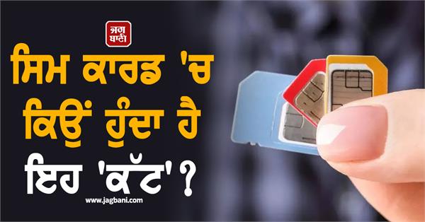 sim card  mobile  company  technology