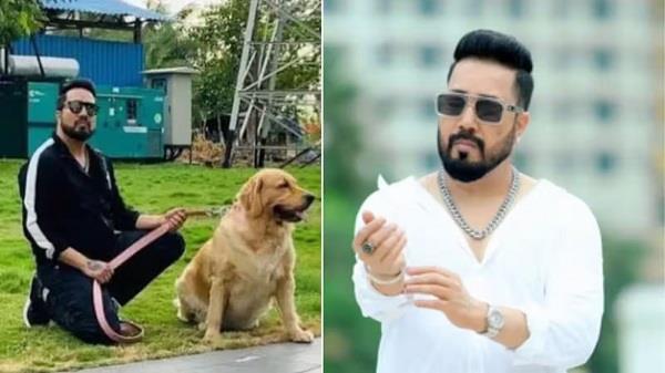 famous punjabi singer to donate 10 acres of land for stray dogs