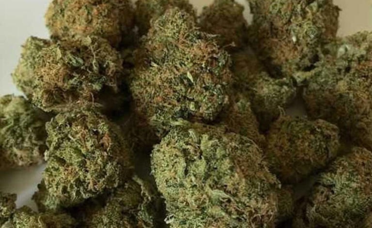 ਬੈਂਗਲੁਰੂ ਹਵਾਈ ਅੱਡੇ ''ਤੇ ਵੱਡੀ ਕਾਰਵਾਈ, ਬੈਂਕਾਕ ਤੋਂ ਲਿਆਂਦਾ 2.77 ਕਰੋੜ ਦਾ ਗਾਂਜਾ ਜ਼ਬਤ