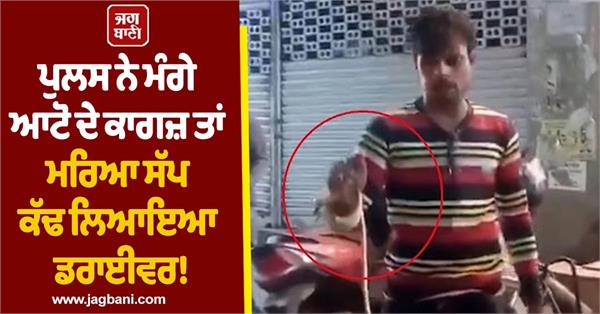 drunk driver pulls out a snake instead