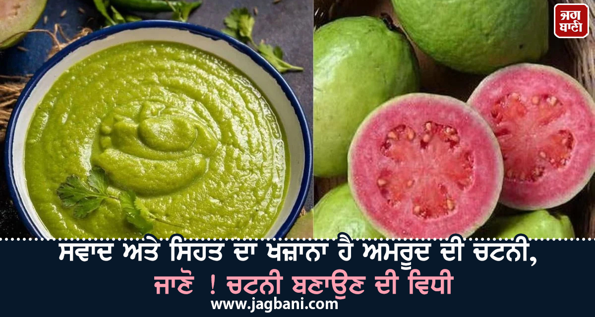 ਸਵਾਦ ਅਤੇ ਸਿਹਤ ਦਾ ਖਜ਼ਾਨਾ ਹੈ ਅਮਰੂਦ ਦੀ ਚਟਨੀ, ਜਾਣੋ ! ਚਟਨੀ ਬਣਾਉਣ ਦੀ ਵਿਧੀ