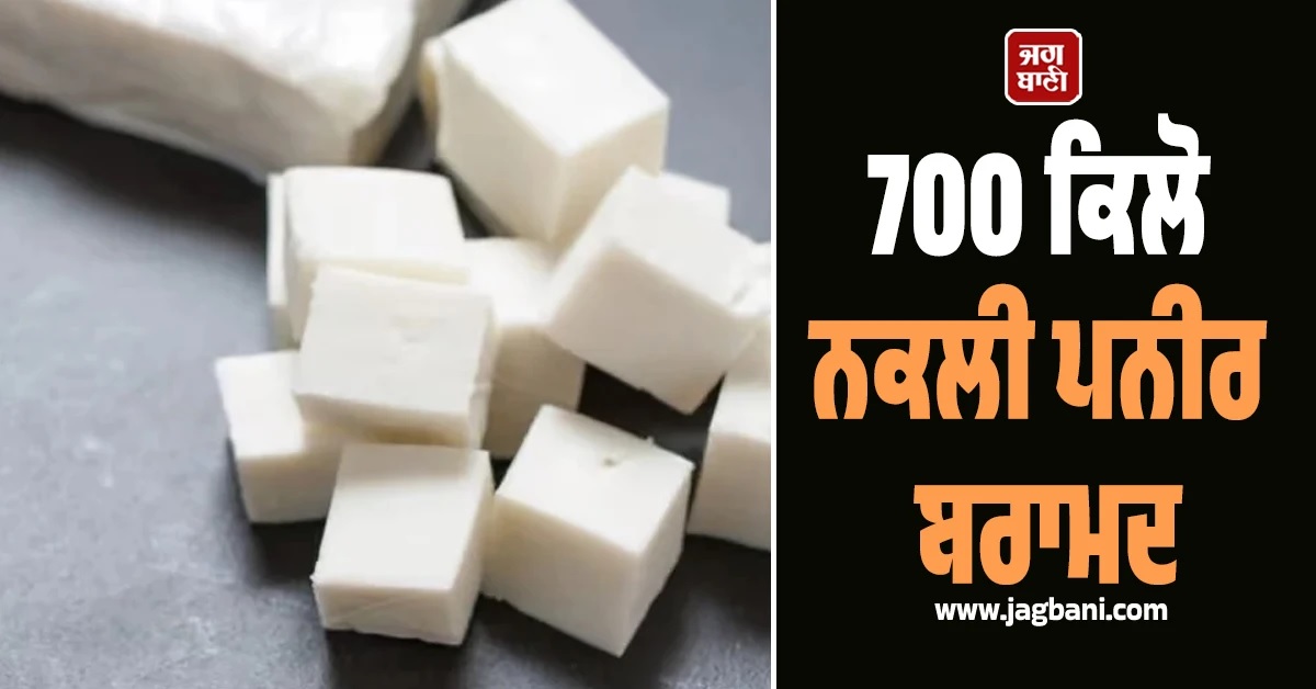 700 ਕਿਲੋ ਨਕਲੀ ਪਨੀਰ ਬਰਾਮਦ, ਜੈਪੁਰ ''ਚ ਮਿਲਾਵਟਖੋਰੀ ਖਿਲਾਫ ਵੱਡੀ ਕਾਰਵਾਈ