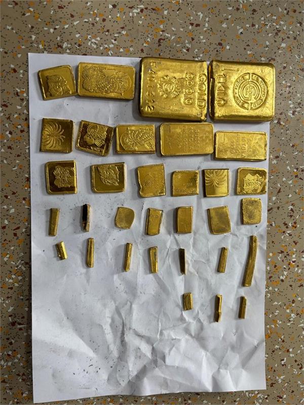 dri  meat grinder machine  gold  export