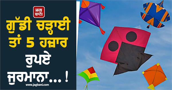 kite flying banned