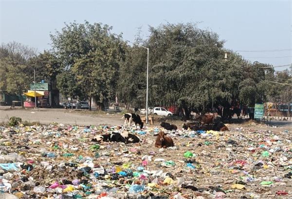 administration is unaware of the reason behind the road accidents