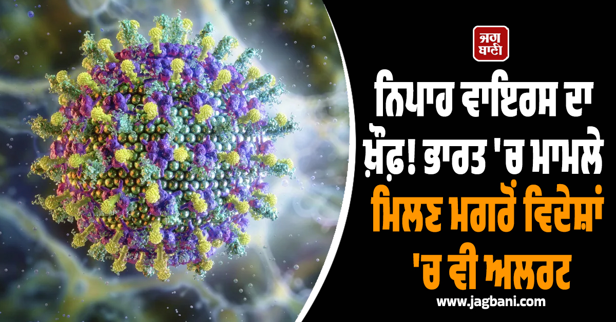 ਨਿਪਾਹ ਵਾਇਰਸ ਦਾ ਖ਼ੌਫ਼! ਭਾਰਤ 'ਚ ਮਾਮਲੇ ਮਿਲਣ ਮਗਰੋਂ ਵਿਦੇਸ਼ਾਂ 'ਚ ਵੀ ਅਲਰਟ, ਜਾਣੋ ਕਿੰਨਾ ਘਾਤਕ ਹੈ ਇਹ ਵਾਇਰਸ