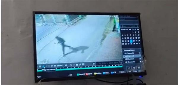 robbers attack political leader in jalandhar