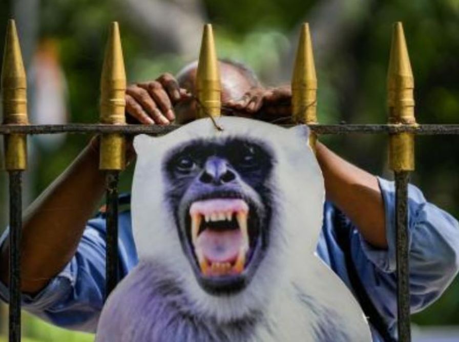 ਵਿਧਾਨ ਸਭਾ ''ਚ ਨਿਕਲੀ ਭਰਤੀ ! ਕੱਢਣੀ ਆਉਣੀ ਚਾਹੀਦੀ ਹੈ ਲੰਗੂਰ ਦੀ ਆਵਾਜ਼, ਦਿੱਲੀ PWD ਨੇ ਜਾਰੀ ਕੀਤਾ ਟੈਂਡਰ