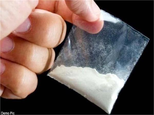 himachal police arrests two punjabi boys with drugs