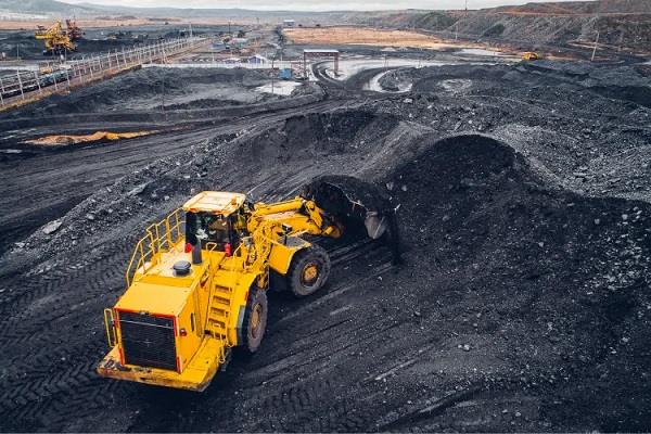 bangladesh  bhutan and nepal can buy coal directly from coal india