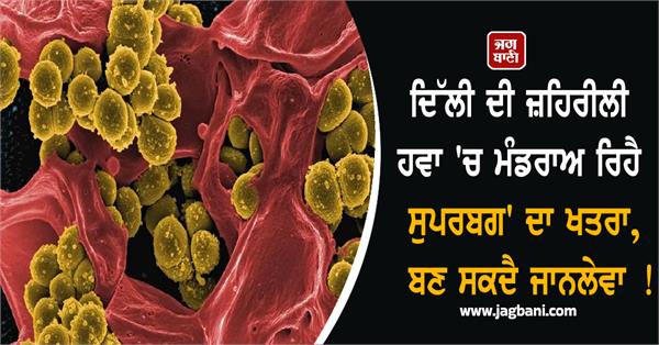 delhi s poisonous air poses a threat of superbug 