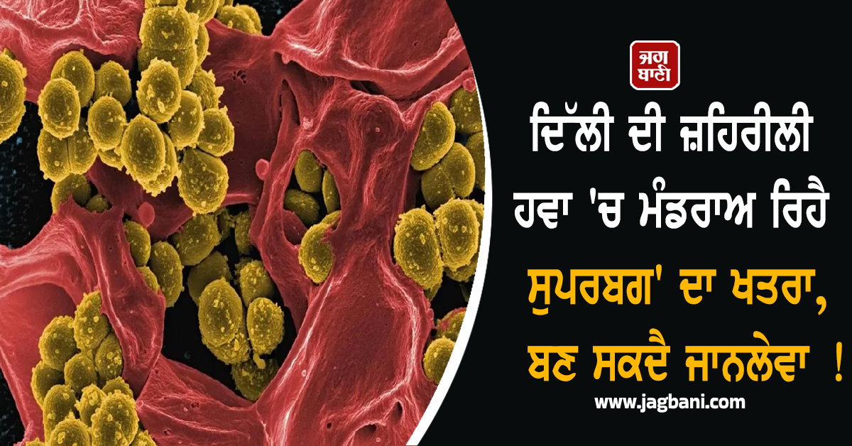 ਦਿੱਲੀ ਦੀ ਜ਼ਹਿਰੀਲੀ ਹਵਾ 'ਚ ਮੰਡਰਾਅ ਰਿਹੈ ਸੁਪਰਬਗ' ਦਾ ਖਤਰਾ, ਬਣ ਸਕਦੈ ਜਾਨਲੇਵਾ !