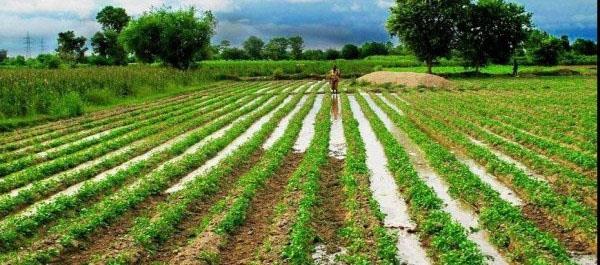 meteorological department warns