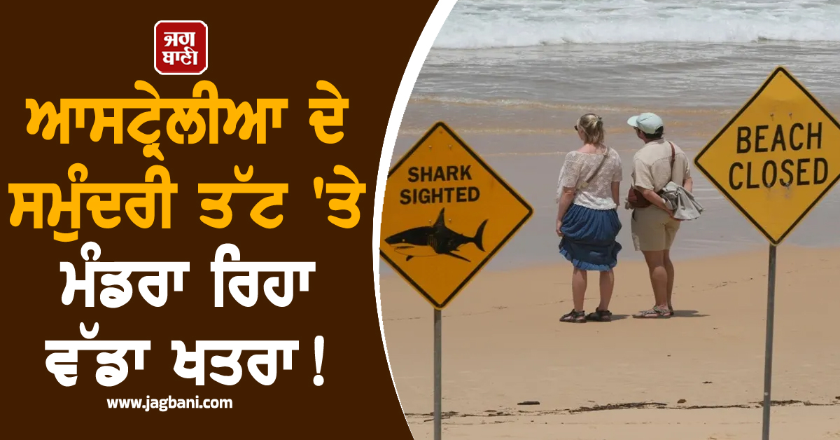 ਆਸਟ੍ਰੇਲੀਆ ਦੇ ਸਮੁੰਦਰੀ ਤੱਟ ''ਤੇ ਮੰਡਰਾ ਰਿਹਾ ਵੱਡਾ ਖਤਰਾ ! 3 ਦਿਨਾਂ ''ਚ ਅਧਿਕਾਰੀਆਂ ਦੇ ਉੱਡੇ ਹੋਸ਼