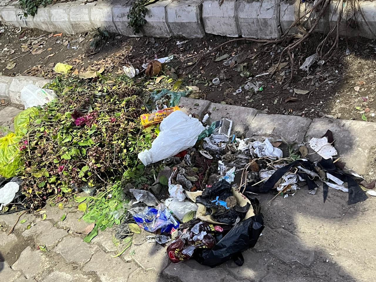 ਨਿਗਮ ਦਾ ਸ਼ਿਕਾਇਤ ਤੰਤਰ ਵੀ ਹੋਇਆ ‘ਕੂੜਾ’: ਅਫ਼ਸਰਾਂ ਦੀ ਕਾਲੋਨੀ ’ਚ ਲੱਗੇ ਗੰਦਗੀ ਦੇ ਢੇਰ