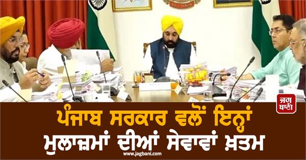 the punjab government has terminated the services of these employees