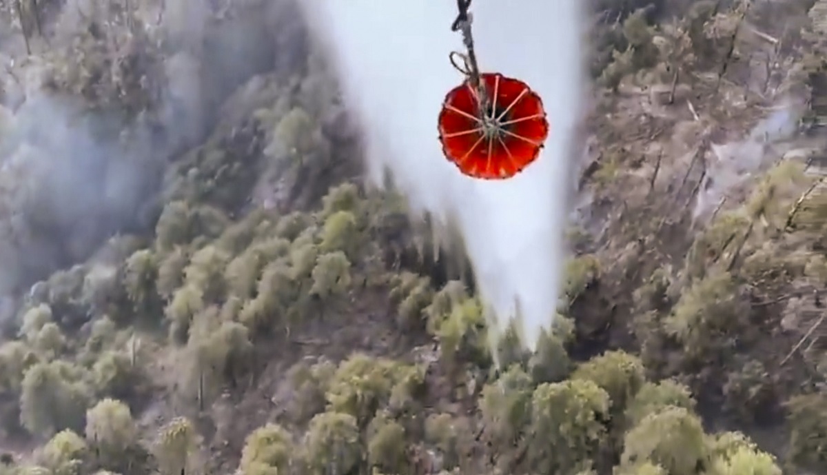 ਭਾਰਤੀ ਫ਼ੌਜ ਨੇ LAC ਨੇੜੇ ਜੰਗਲ ਦੀ ਅੱਗ ''ਤੇ ਪਾਇਆ ਕਾਬੂ, 4.5 ਲੱਖ ਵਰਗ ਮੀਟਰ ਖੇਤਰ ਪ੍ਰਭਾਵਿਤ