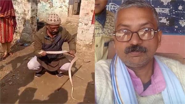bihar news teacher death by snake bite