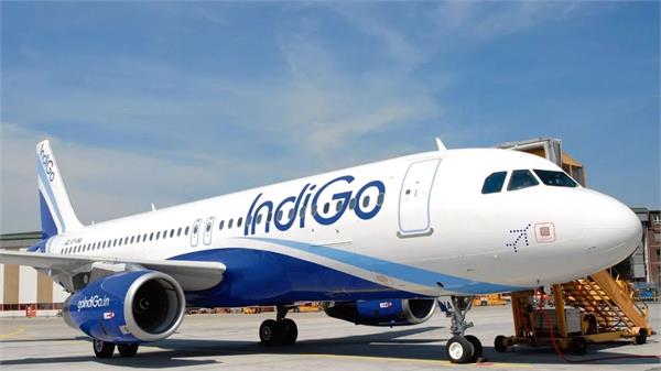 indigo flight