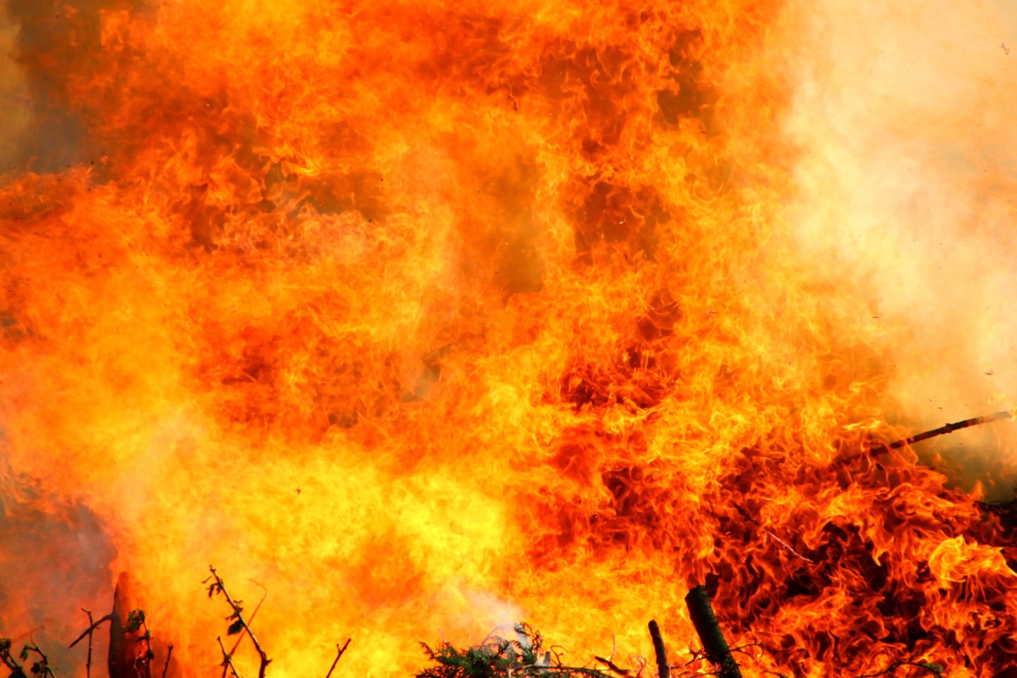 ਕਾਬੁਲ ਦੇ ਹੋਟਲ ''ਚ ਭਿਆਨਕ ਧਮਾਕਾ! ਕਈ ਲੋਕਾਂ ਦੀ ਮੌਤ ਹੋਣ ਦਾ ਖਦਸ਼ਾ, ਚਾਰੇ ਪਾਸੇ ਫੈਲੀ ਦਹਿਸ਼ਤ