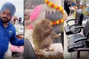 ghuggi  s mischief on kang  s birthday