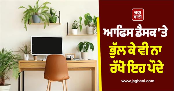 plants on your office desk  progress may be halted