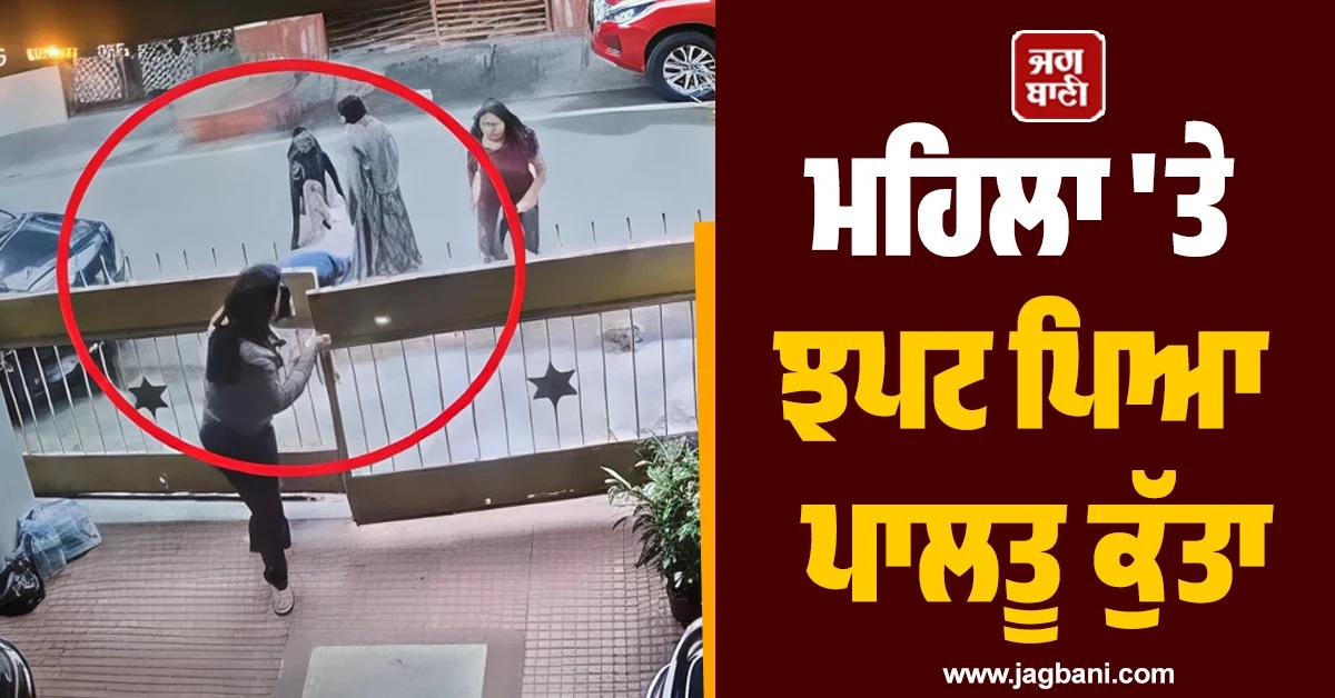 ਸੈਰ ਕਰ ਰਹੀ ਮਹਿਲਾ ''ਤੇ ਝਪਟ ਪਿਆ ਪਾਲਤੂ ਕੁੱਤਾ, ਚਿਹਰੇ ''ਤੇ ਲੱਗੇ 50 ਟਾਂਕੇ (Video)