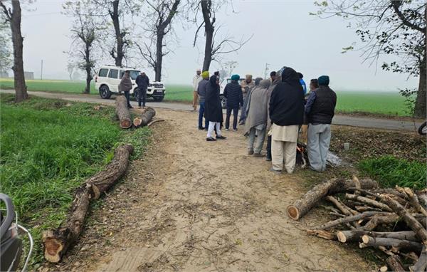 dispute over cutting of trees in village burj hari singh
