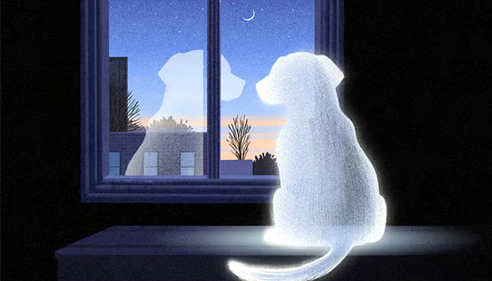 ਮੌਤ ਦਾ ਸਮਾਂ ਕੋਈ ਨਹੀਂ ਜਾਣਦਾ, ਪਰ ਇਨ੍ਹਾਂ ਜਾਨਵਰਾਂ ਨੂੰ ਪਹਿਲਾਂ ਹੀ ਲੱਗ ਜਾਂਦੈ ਪਤਾ