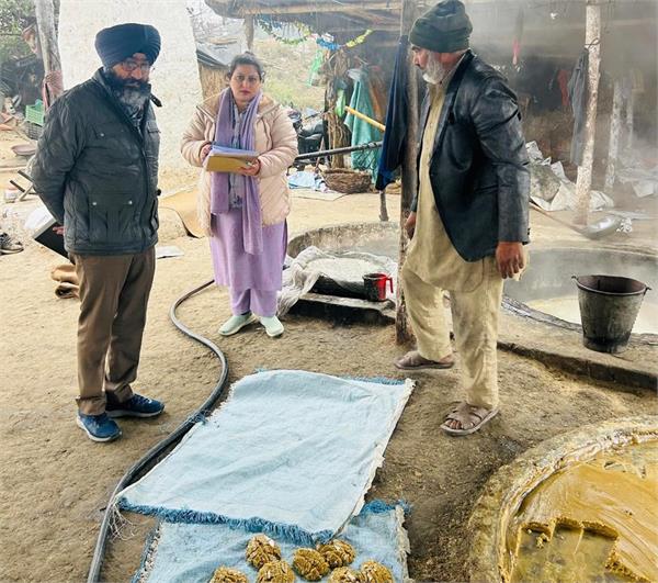 food safety wing collects samples of jaggery and dairy products