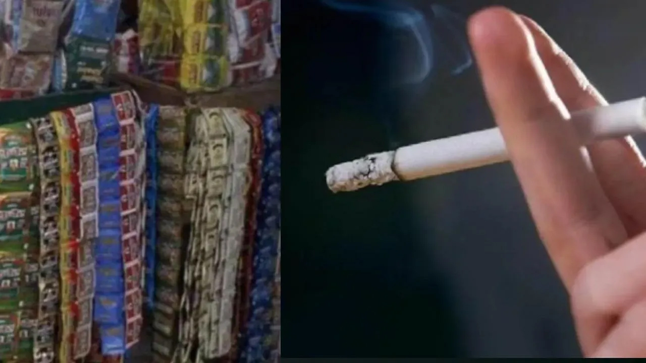 ਤੰਬਾਕੂ ਤੇ ਪਾਨ ਮਸਾਲਾ ਹੋਏ ਮਹਿੰਗੇ, ਸਰਕਾਰ ਨੇ ਲਾਗੂ ਕੀਤਾ ਨਵਾਂ ਟੈਕਸ ਢਾਂਚਾ