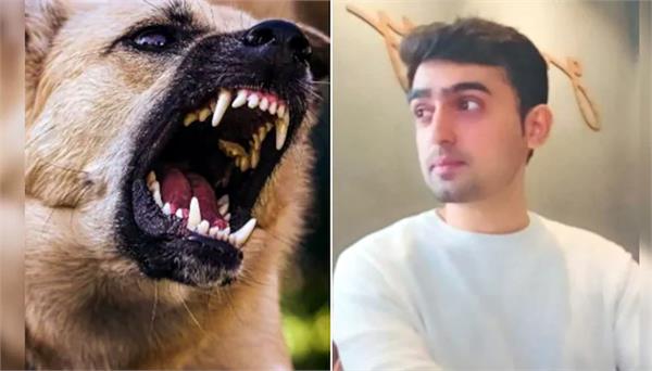 bank employee commits suicide after dog bite