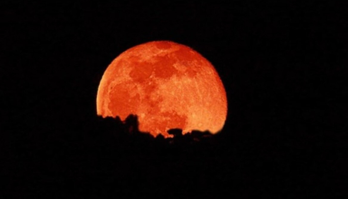 ਇਸ ਦਿਨ ਲੱਗੇਗਾ ਸਾਲ 2026 ਦਾ ਪਹਿਲਾ ਚੰਦਰ ਗ੍ਰਹਿਣ, ਜਾਣੋ ਸੂਤਕ ਕਾਲ ਦਾ ਸਮਾਂ ਅਤੇ ਸਾਵਧਾਨੀਆਂ